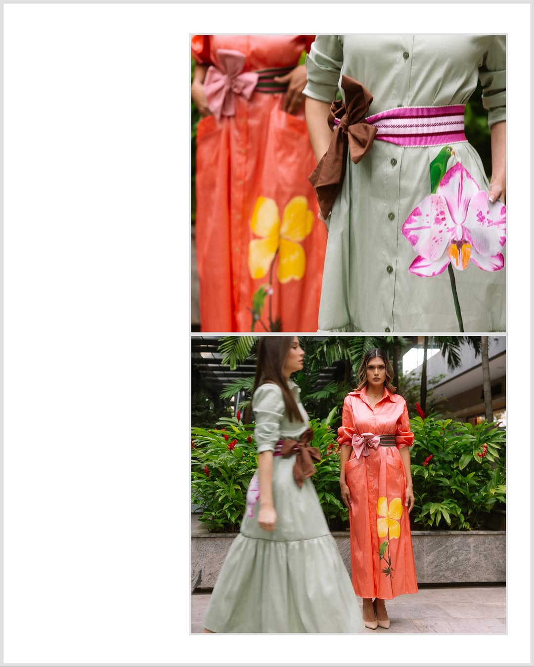 Colección Ceiba